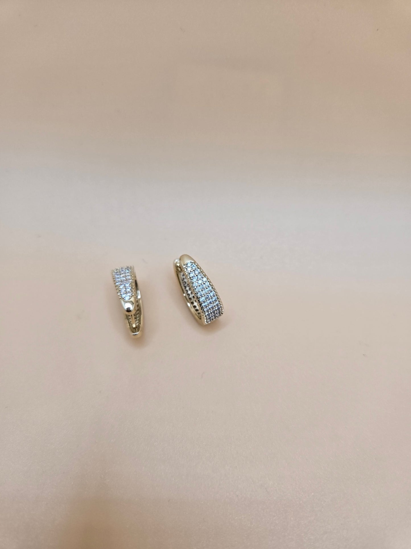Secure Clasp Earrings