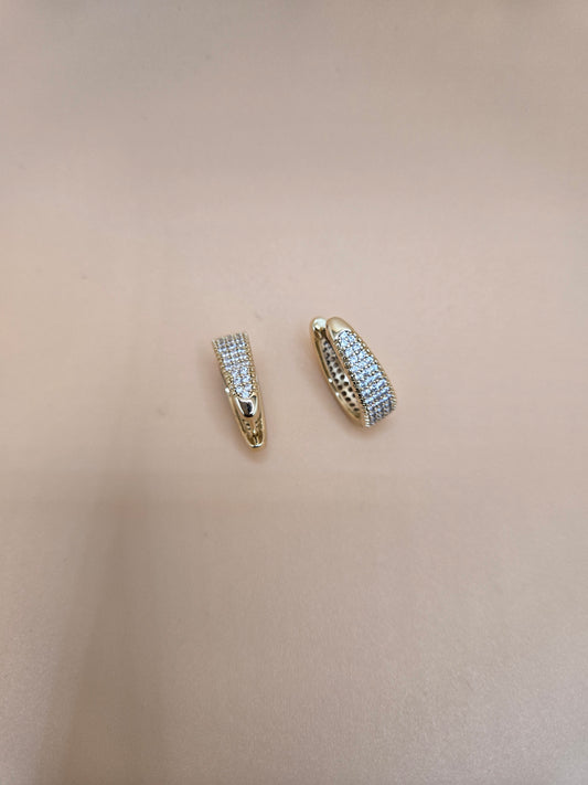 Secure Clasp Earrings